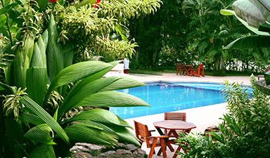 Landscape Design Miami, Pinecrest, Palmetto Bay, Kendall, Coral Gables and Nearby Cities